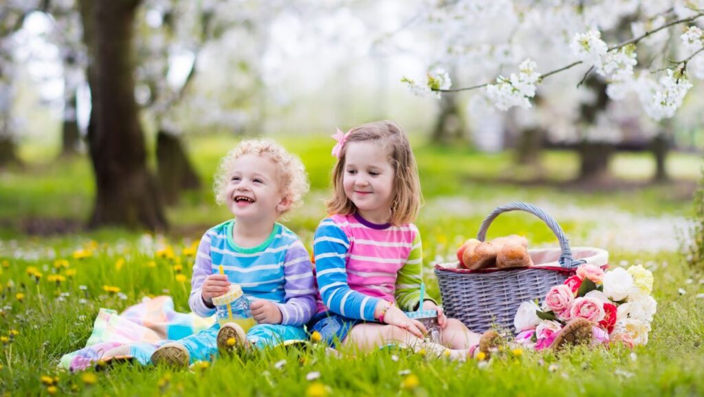 Picnic Adventures: Culinary Delights for Kids