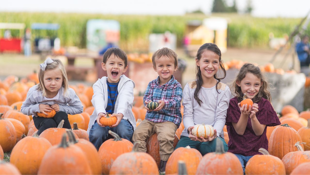 Harvest Happenings: Exploring Autumn